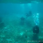 Diving holiday in Belize